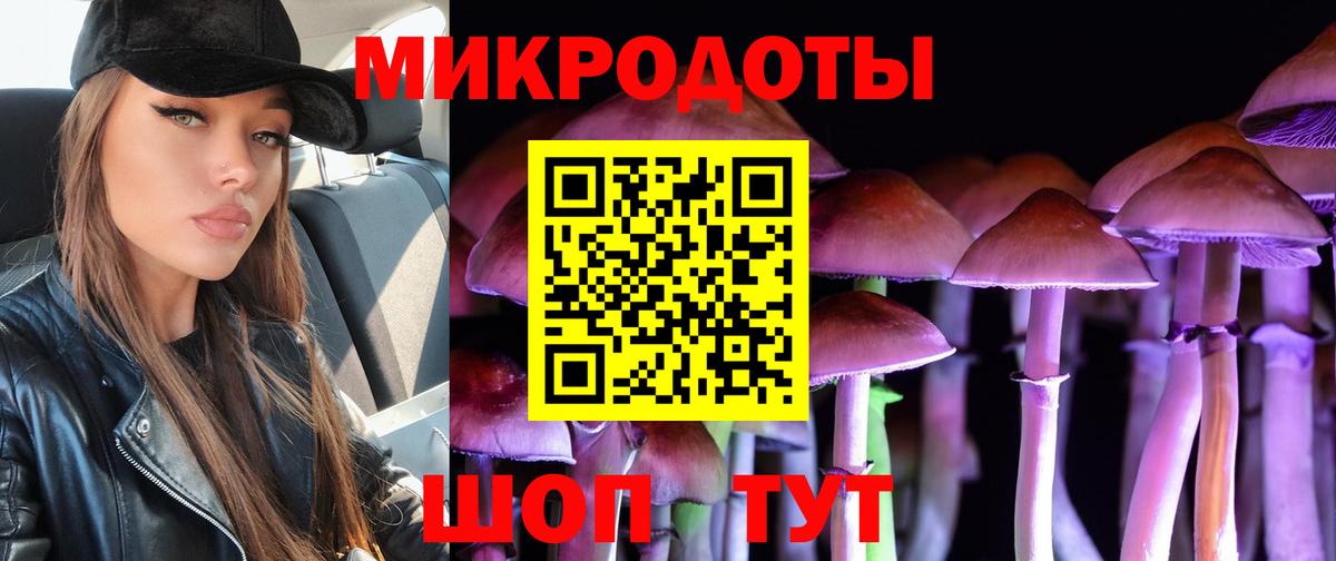 Псилоцибиновые грибы Cubensis  Псилоцибиновые грибы ЛСД  Светлоград  Вход с VPN 